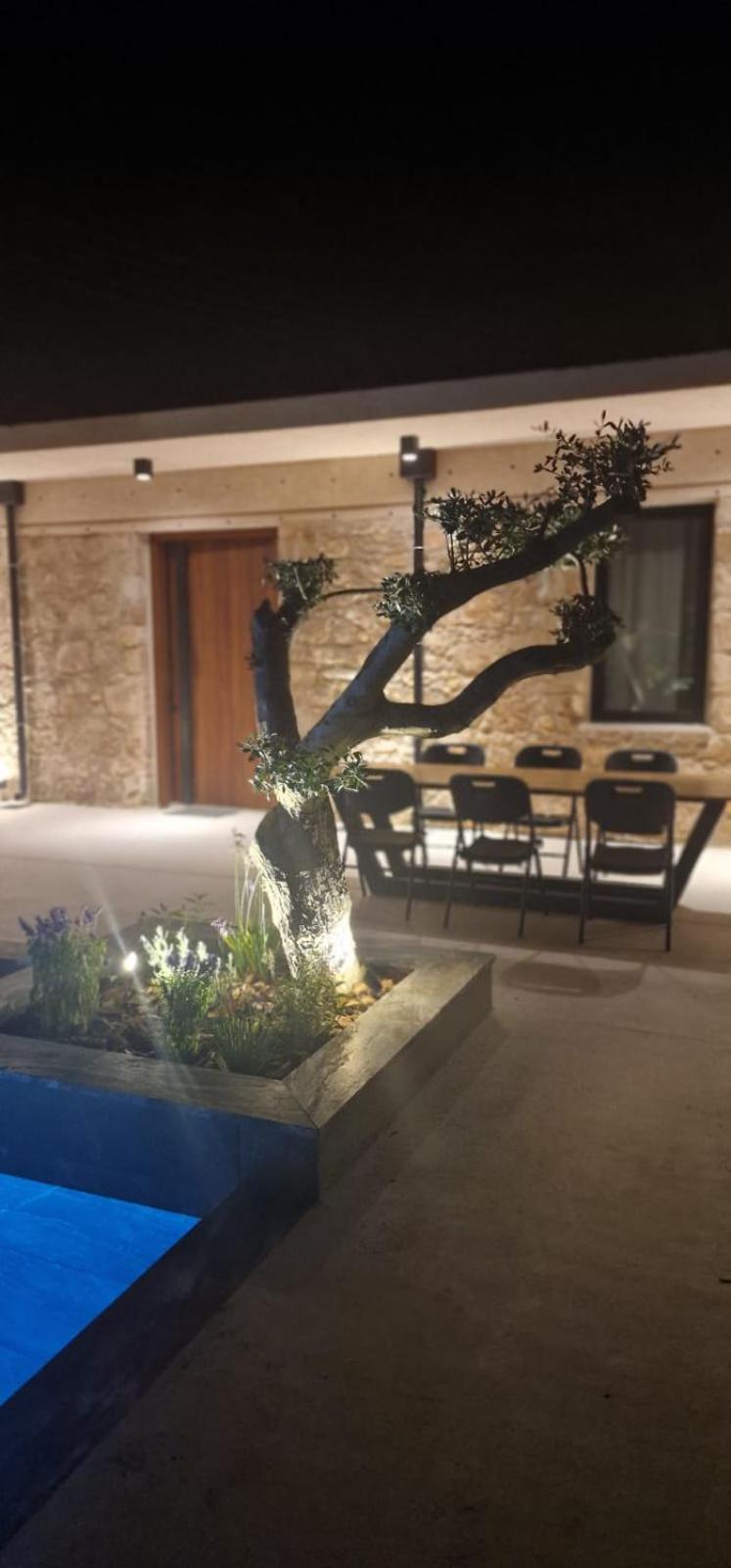 Phaedrus Living Olive Grove Luxury Villa Πάφος Εξωτερικό φωτογραφία